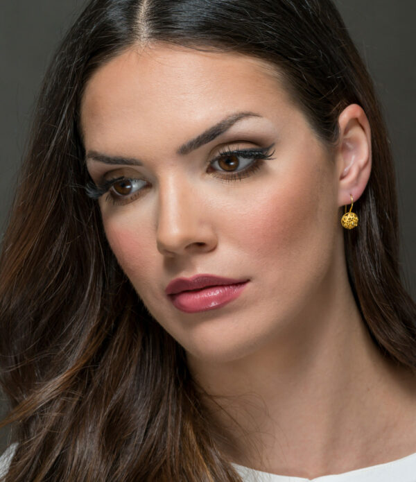 BOE 1-2 25 100 — Fotografija 2